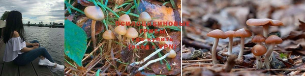 гашиш Балабаново