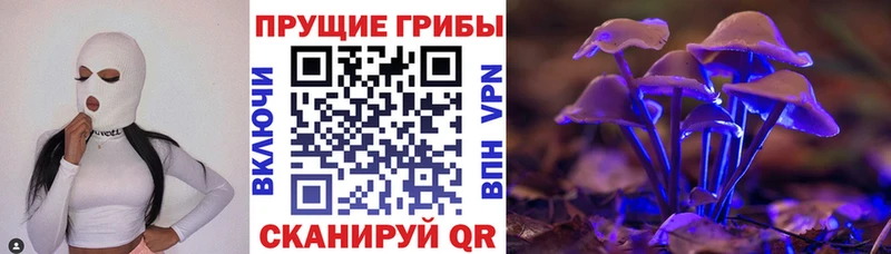 Псилоцибиновые грибы MAGIC MUSHROOMS  Купить закладки  Зерноград 